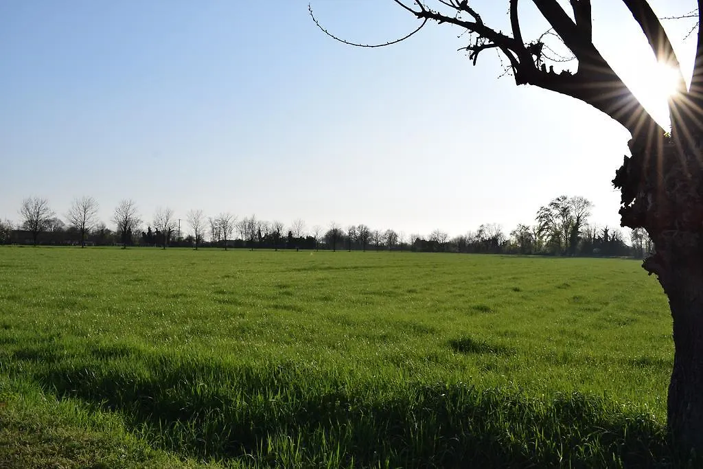 Séjour à la ferme Villa Agriturismo Cà Del Lupo à Pallazzolo sullʼOglio