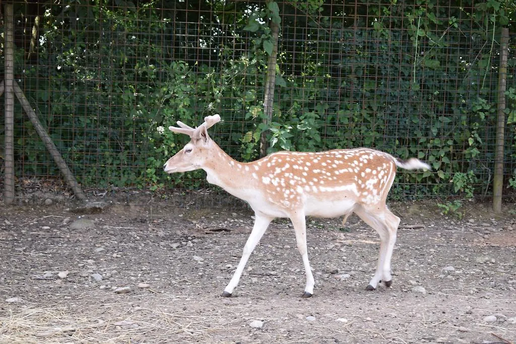 Agriturismo Ca Del Lupo Villa Pallazzolo sull'Oglio Farm stay